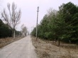 Buy a lot of land, st. Lisova, Ukraine, Tacenki, Obukhovskiy district, Kiev region, , 74 200