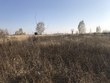 Buy a lot of land, Ukraine, Novie_Petrovci, Vyshgorodskiy district, Kiev region, , 27 500