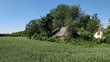 Buy a lot of land, st. Zapadnaya, 33, Ukraine, Ksaverovka, Vasilkovskiy district, Kiev region, , 549 200