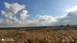 Buy a lot of land, Lugovaya-ul, Ukraine, Irpen, Irpenskiy_gorsovet district, Kiev region, , 1 044 000