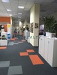 Rent a office, Grinchenko-Nikolaya-ul, Ukraine, Kiev, Solomenskiy district, Kiev region, 513 кв.м, 211 500/мo