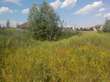 Buy a lot of land, Osokorskaya-ul-Osokorki, Ukraine, Kiev, Darnickiy district, Kiev region, , 549 200