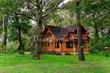 Rent a house, st. lesnaya, Ukraine, Pirnovo, Vyshgorodskiy district, Kiev region, 4  bedroom, 170 кв.м, 55 000/mo