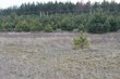 Buy a lot of land, Ukraine, Druzhnaya, Borodyanskiy district, Kiev region, , 247 200