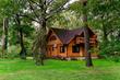 Rent a house, st. rechnaya, Ukraine, Pirnovo, Vyshgorodskiy district, Kiev region, 4  bedroom, 180 кв.м, 55 000/mo