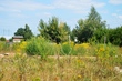 Buy a lot of land, st. Travneva, Ukraine, Revnoe, Borispolskiy district, Kiev region, , 274 600